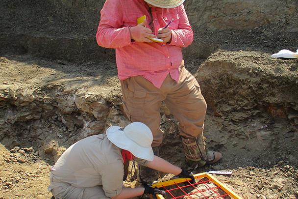 <a href='http://j5.lfkgw.com'>博彩网址大全</a>学生在麦卡尔哈尼采石场测绘三角龙骨骼.